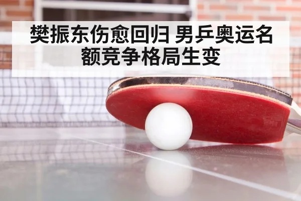 樊振东伤愈回归 男乒奥运名额竞争格局生变