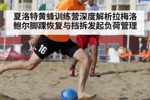 夏洛特黄蜂训练营深度解析拉梅洛鲍尔脚踝恢复与挡拆发起负荷管理