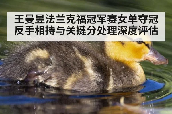 王曼昱法兰克福冠军赛女单夺冠 反手相持与关键分处理深度评估